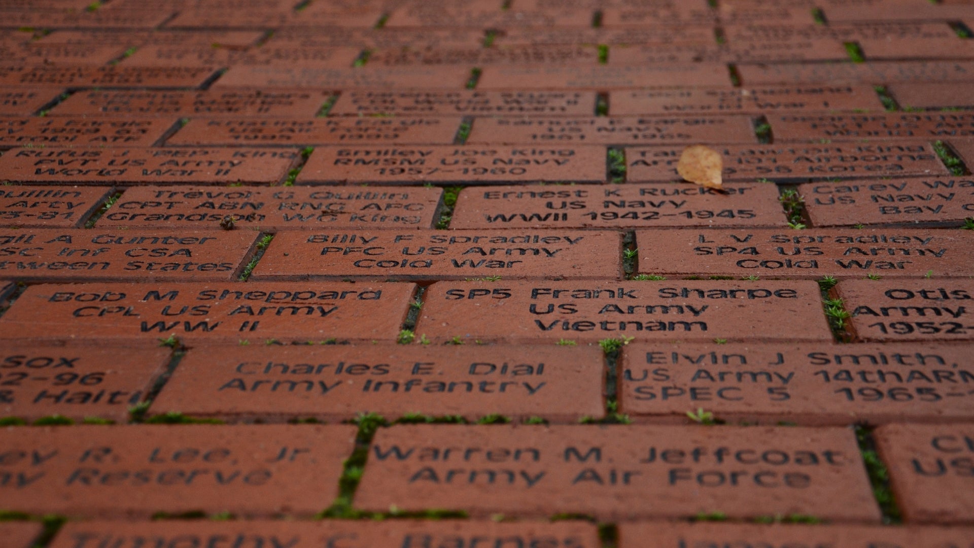 Guide to Engraved Brick Walkways: Highlighting Opportunities and Recognizing Donors with SeeMyLegacy