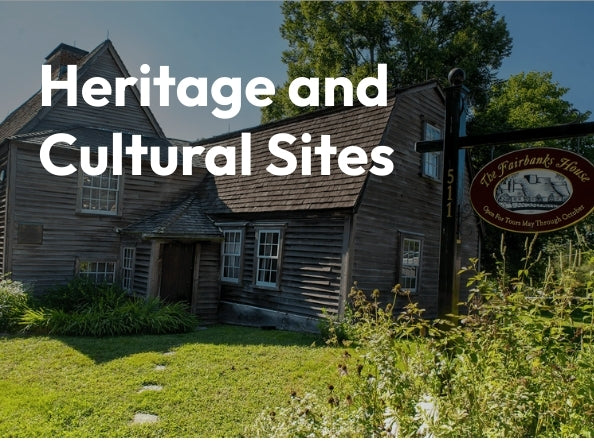 Highlight cultural stories, traditions, and community heritage through interactive digital narratives.