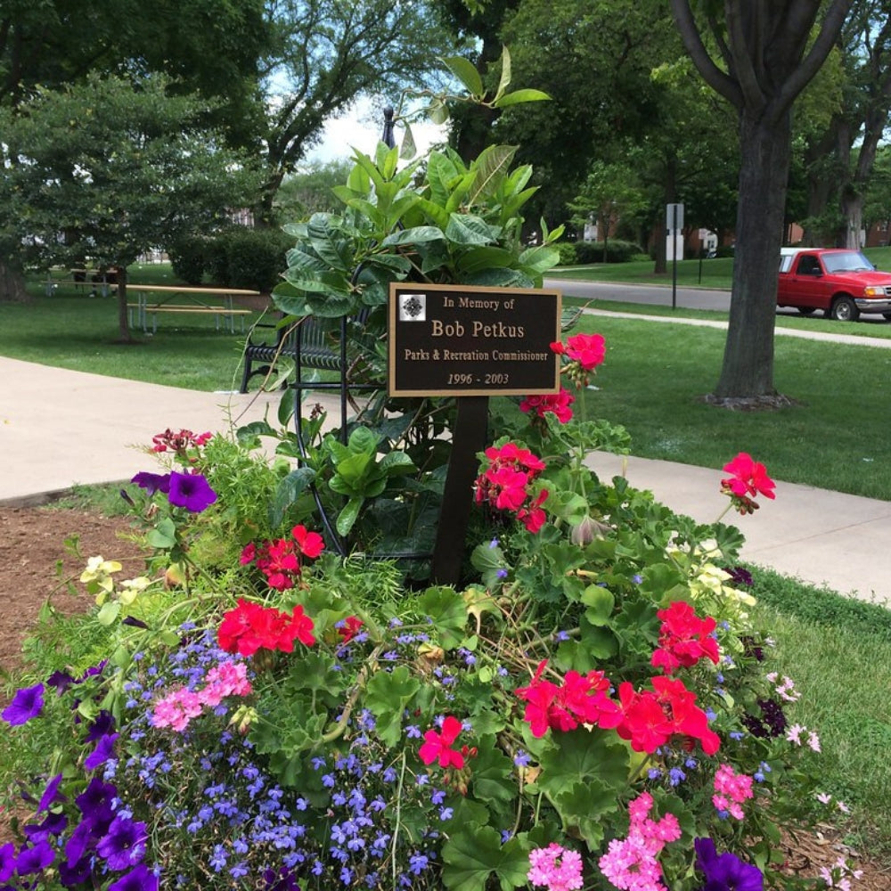 Story Tag - 100 Pack