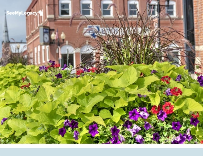 Adopt-a-Garden Volunteer Program