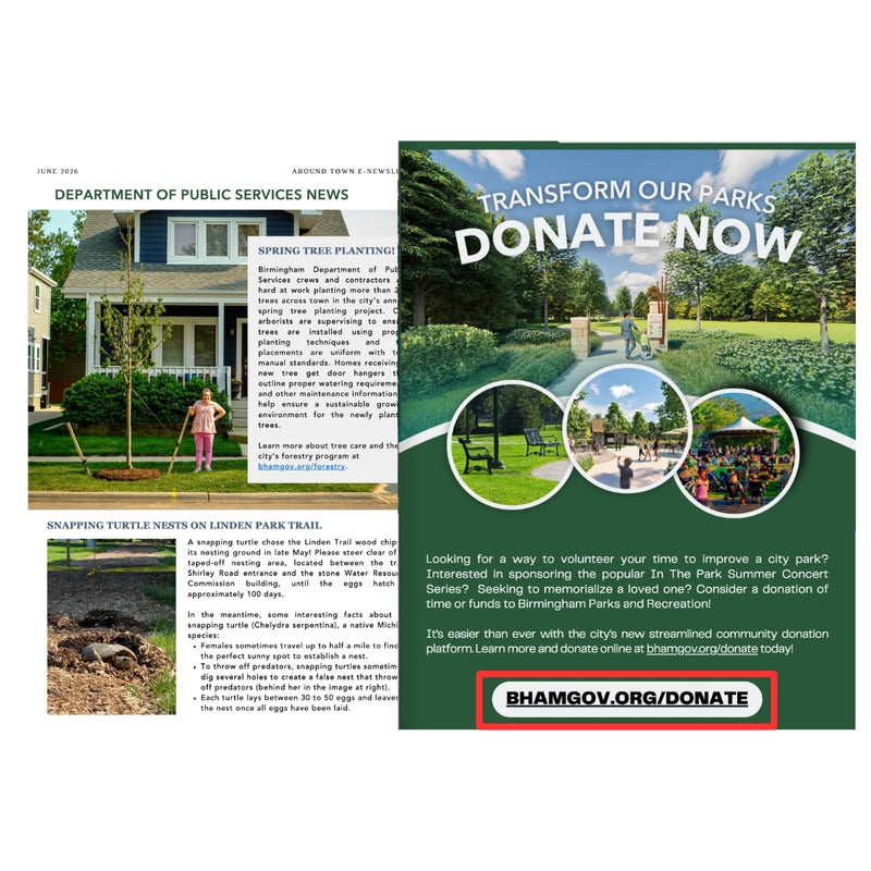 Campaigns Tab included in Newsletter flipbook sent to the community