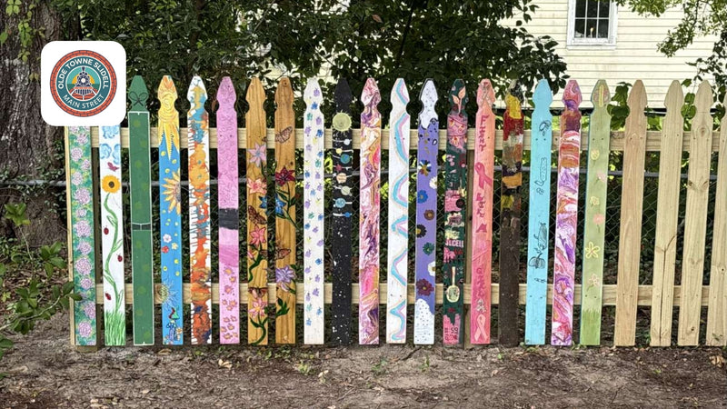 Carey Street Park Community Fence Mural