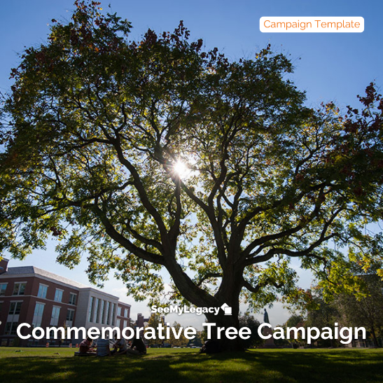 Commemorative Tree Program for Universities Template