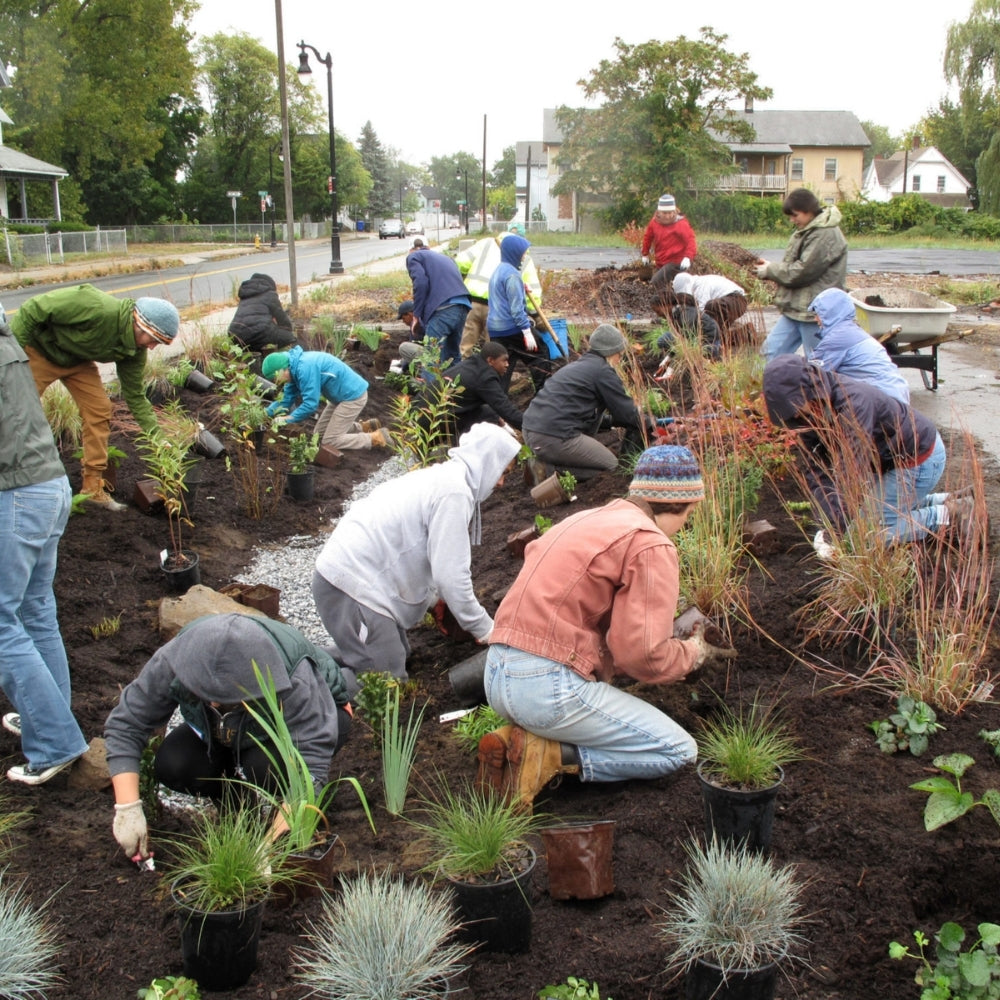 Community Beautification Volunteer Event