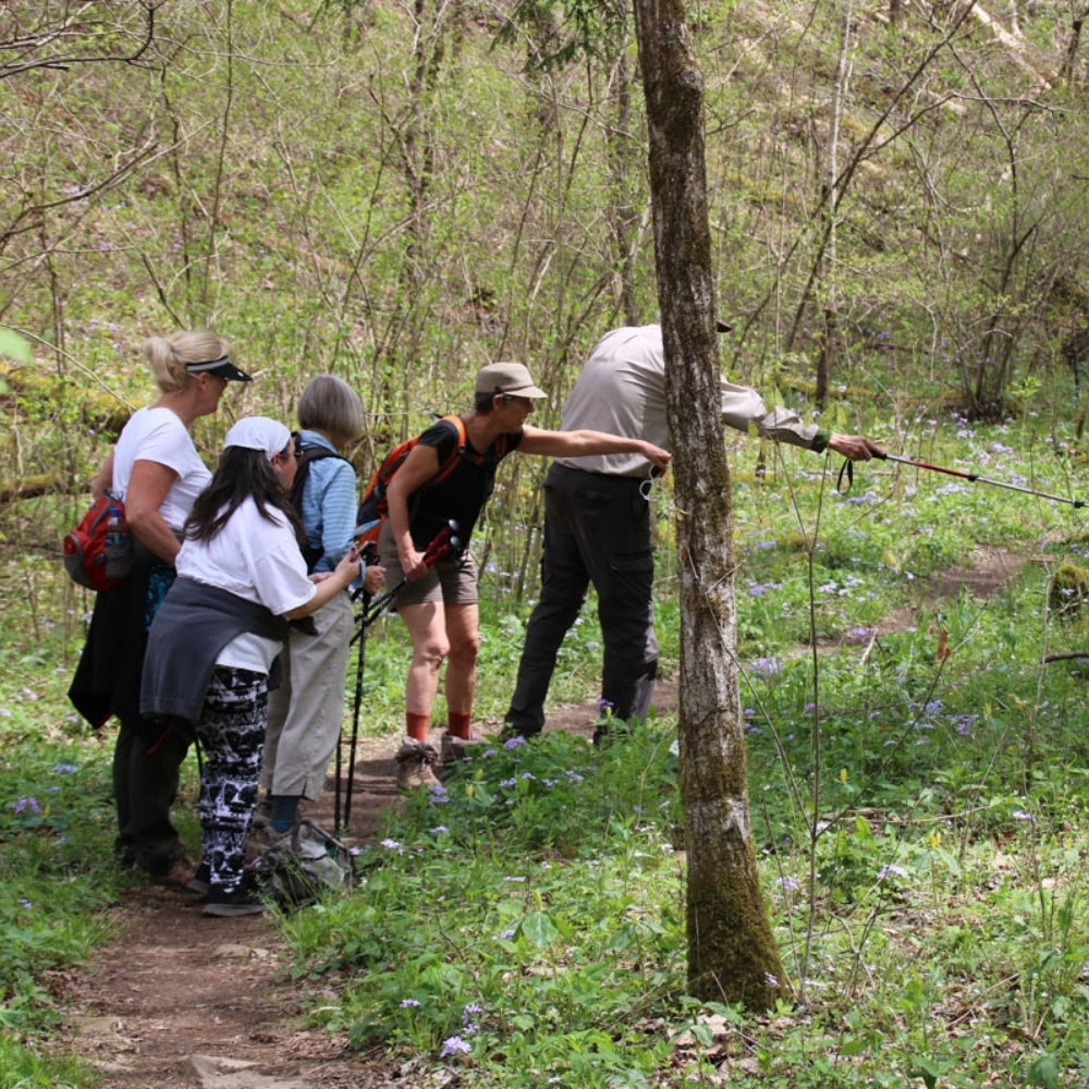 Exploring The Butterfly Trail