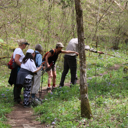 Exploring The Butterfly Trail