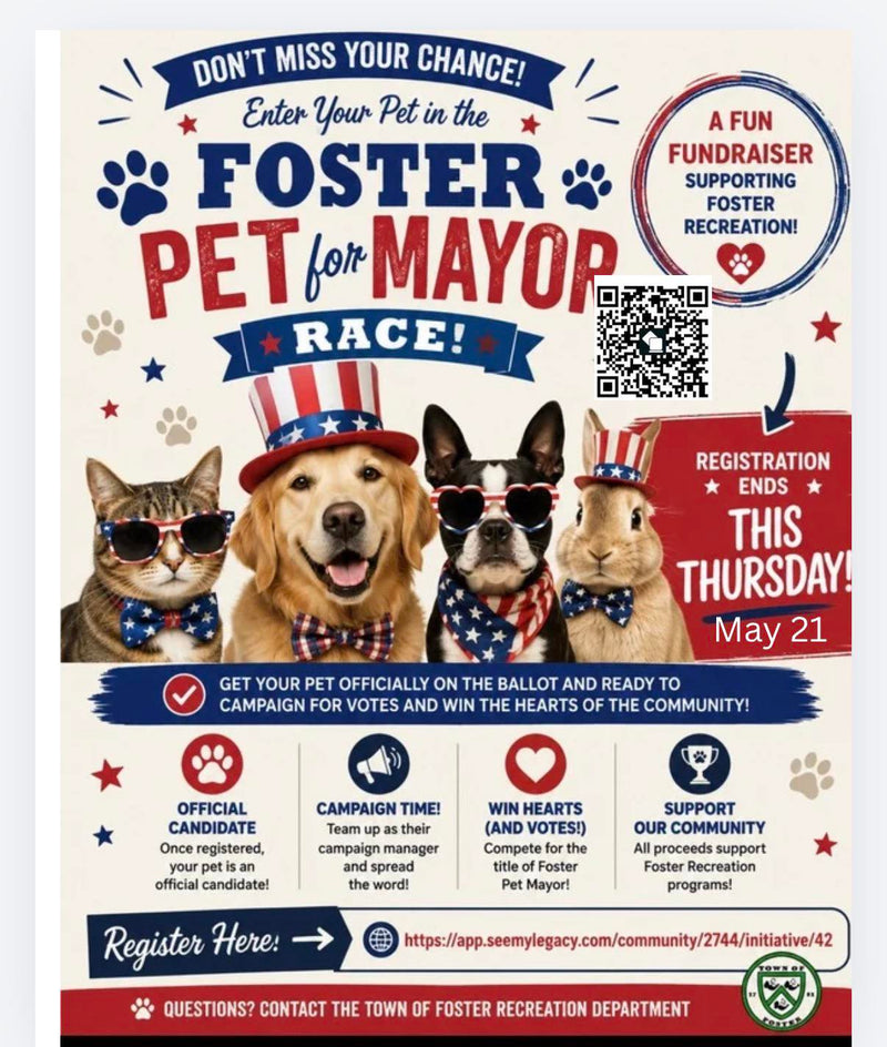 Pet Mayor Race Flyer Inviting Pet Registration with QR Code