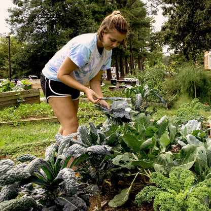 Campus Planting Days - Volunteer Event Template