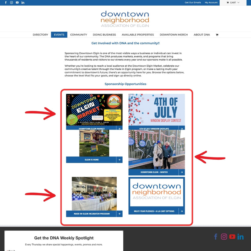 DNA of Elgin Sponsorships Landing Page on Website
